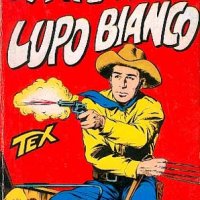 Tex Nr. 019:   La fine di Lupo Bianco    