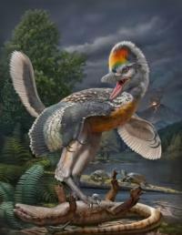 New dinosaur discovered with curious bird-like features