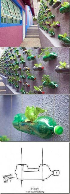 Green Walls / Vertical Garden