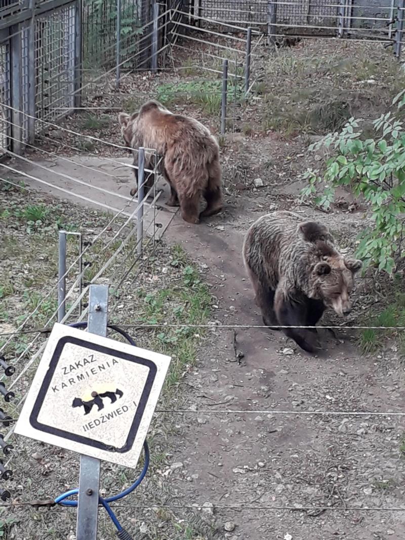 The zoo of Wrocław