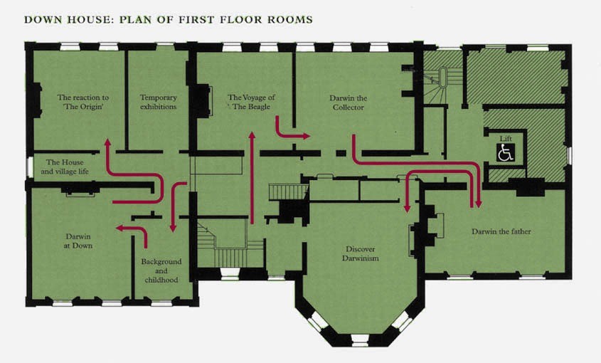 Down House: Plan of First Floor rooms