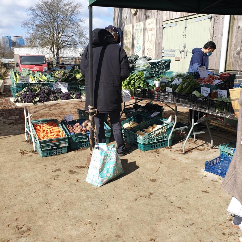 A farmer market in the area. But very expensive