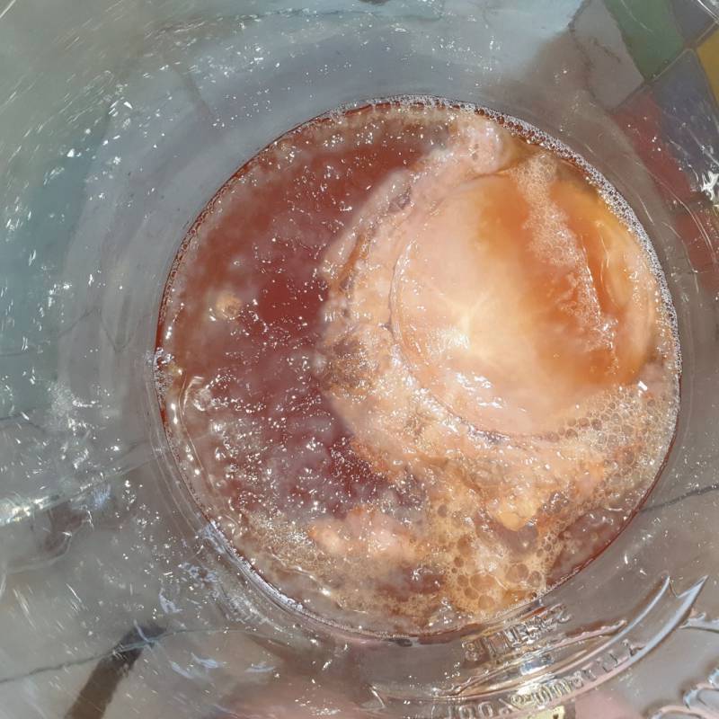 2020.06.19 h.13 with flash my scoby looks amazing and healthy
