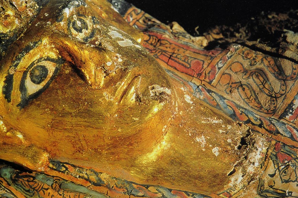 Golden sarcophagus found at Bahariya oasis