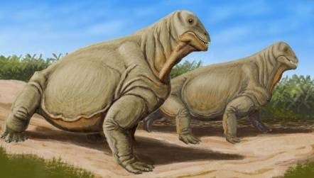 The Permian-Triassic mass extinction event