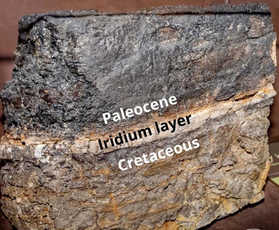 Sedimentary rock showing three different layers: Paleocene, Iridium and Cretaceous.