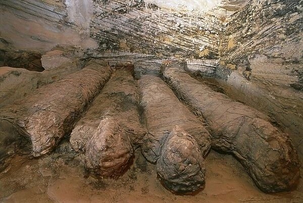 Some on the mummies found at the Bahariya oasis