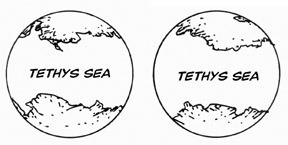 The Tethys Sea
