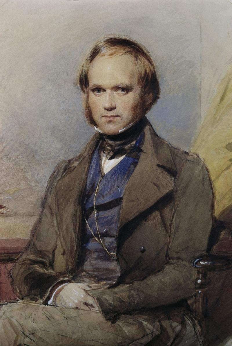 Charles Darwin in 1840. Watercolor by George Richmond, 1840. Darwin Museum at Down House