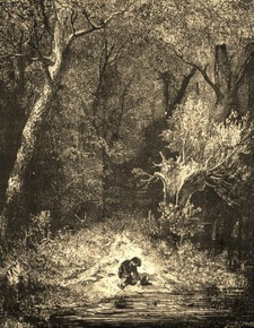 G. Doré, Pollicino nel bosco
