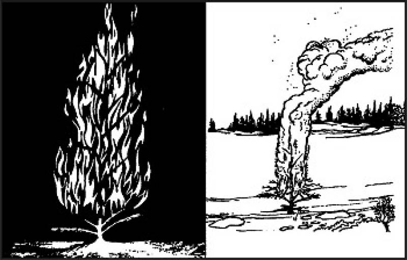 /* Figure 19-1. Tree Torch */