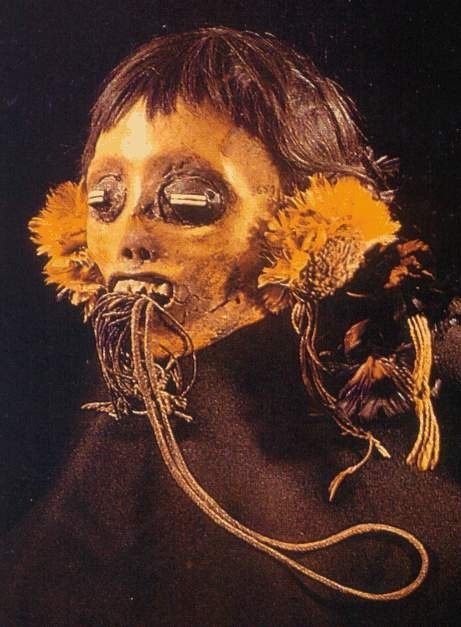 Embalmed head by Mundurucù (Brazil)