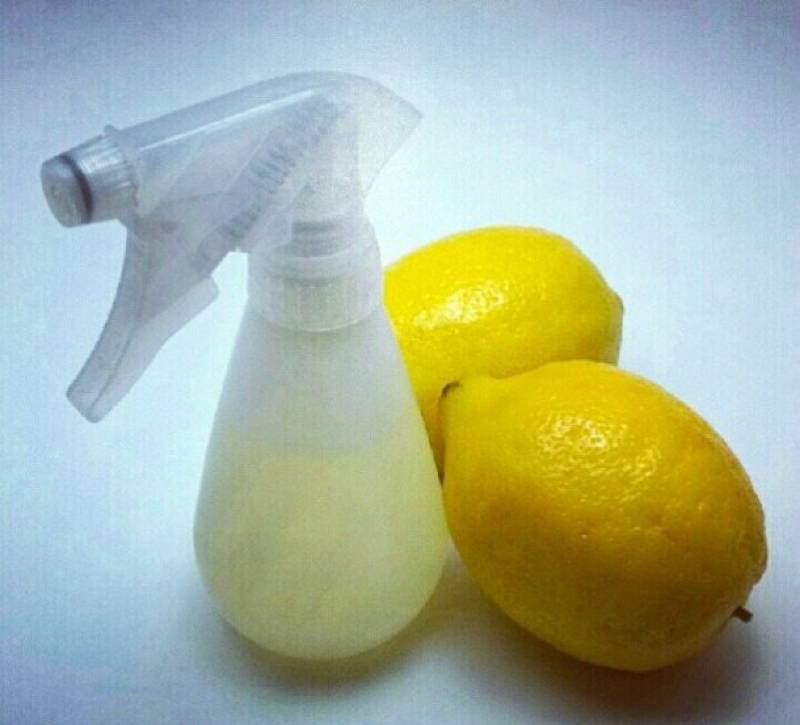 How to make a lemon toilet cleaner