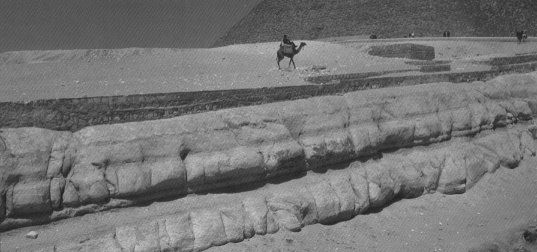 Fig. 5: The western face of the Sphinx enclosure cutting showing the 'coved' heavy, rounded vertical