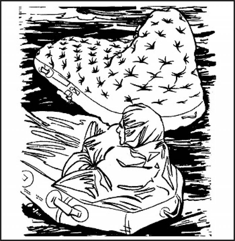 One Man Life Raft Inflation Survival Manual: Chpt 16 - Sea • Neperos
