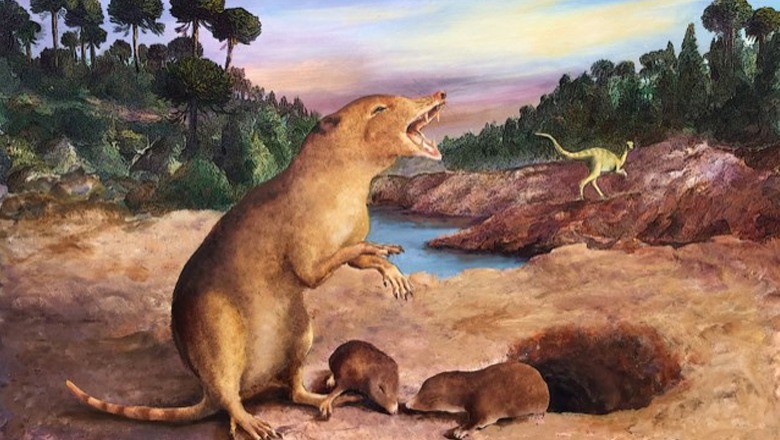 Dinosaur Extinction: Unraveling the Mysteries of the Cretaceous-Paleogene Event
