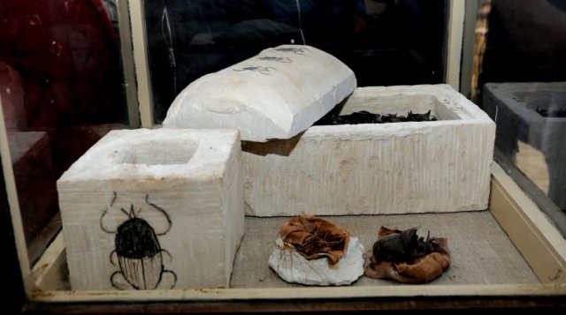 Sarcophagus with mummies of scarabs. The sarcophagus is decorated with drawings of scarabs.