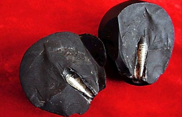 The Lanzhou Stone: is the Lanzhou stone an ammonite fossil that resemble a metallic screw?