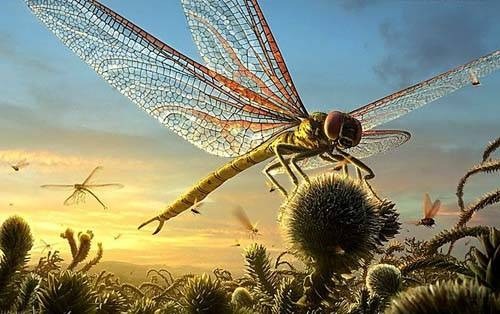 a giant dragonfly