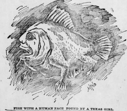 Fish with four legs and a human face, found in 1896 in Texas.