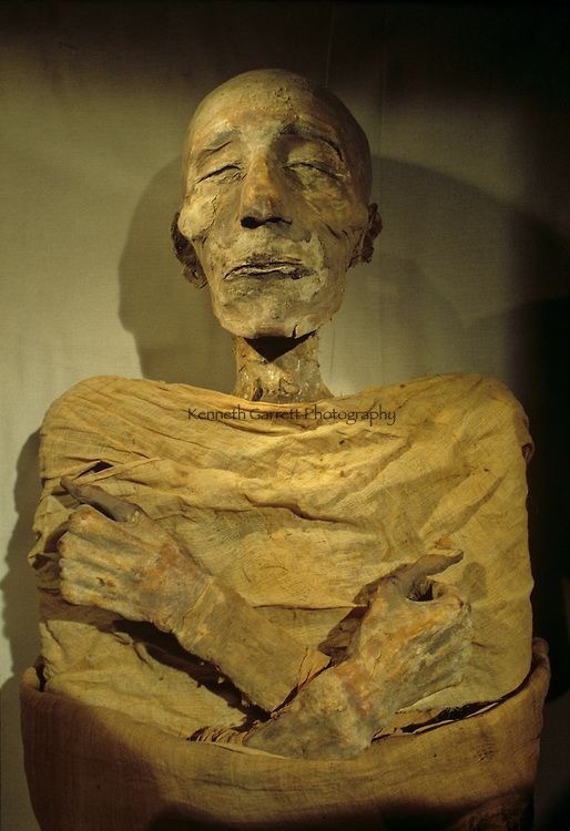 Mummy of Merenptah, son of Ramses.