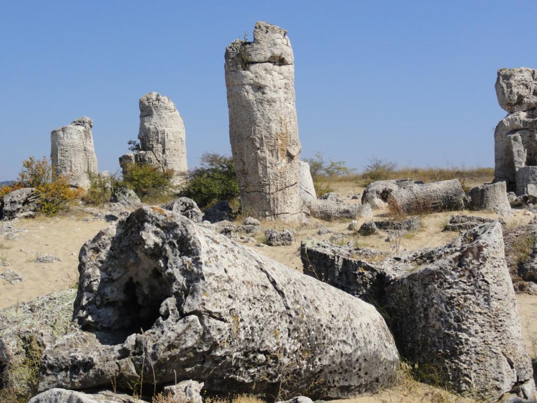 Pobiti Kamani: bulgaria's ancient and enigmatic petrified forest