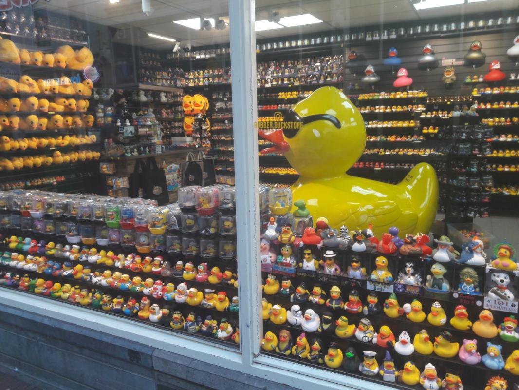 A shop in Amsterdam selling only ducks. How insane can it be ?