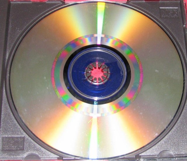 A Sega Dreamcast disk. The Security ring track is visible after the first audio track.