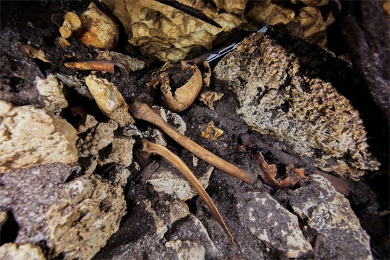Human skulls and bones lie scattered across the floor of the cenote.
