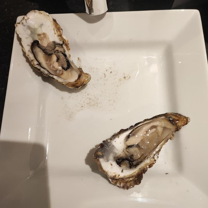 First time in London :) Oysters