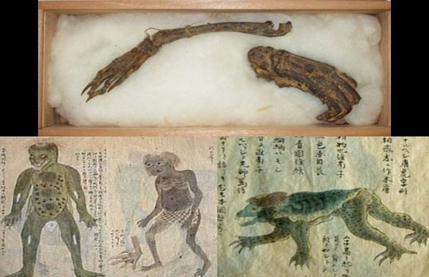 Mummified remains of a japanese mythological creature? Kappa, the water demon