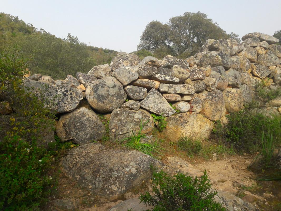 Tomb of the giants of Is Concias (Sardinia)