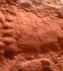The ancient Brazilian footprints with six fingers