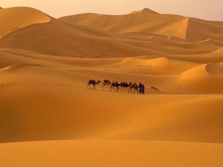 When the Sahara was the cradle of life