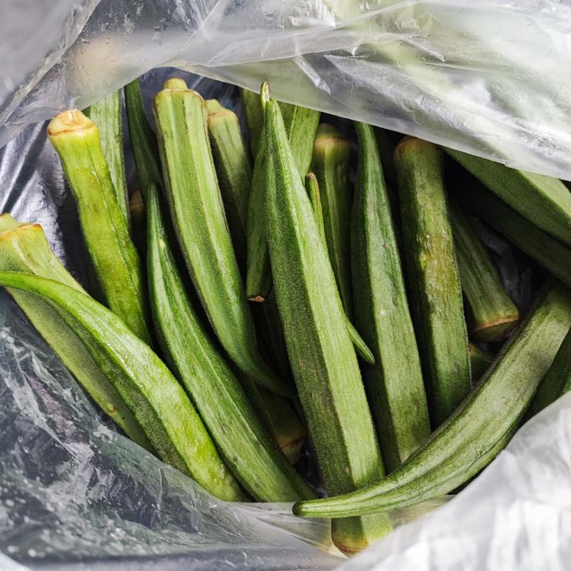Okra with masala and coconut milk