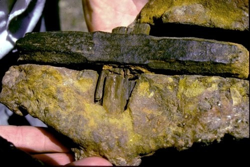 Hammer found in Romania