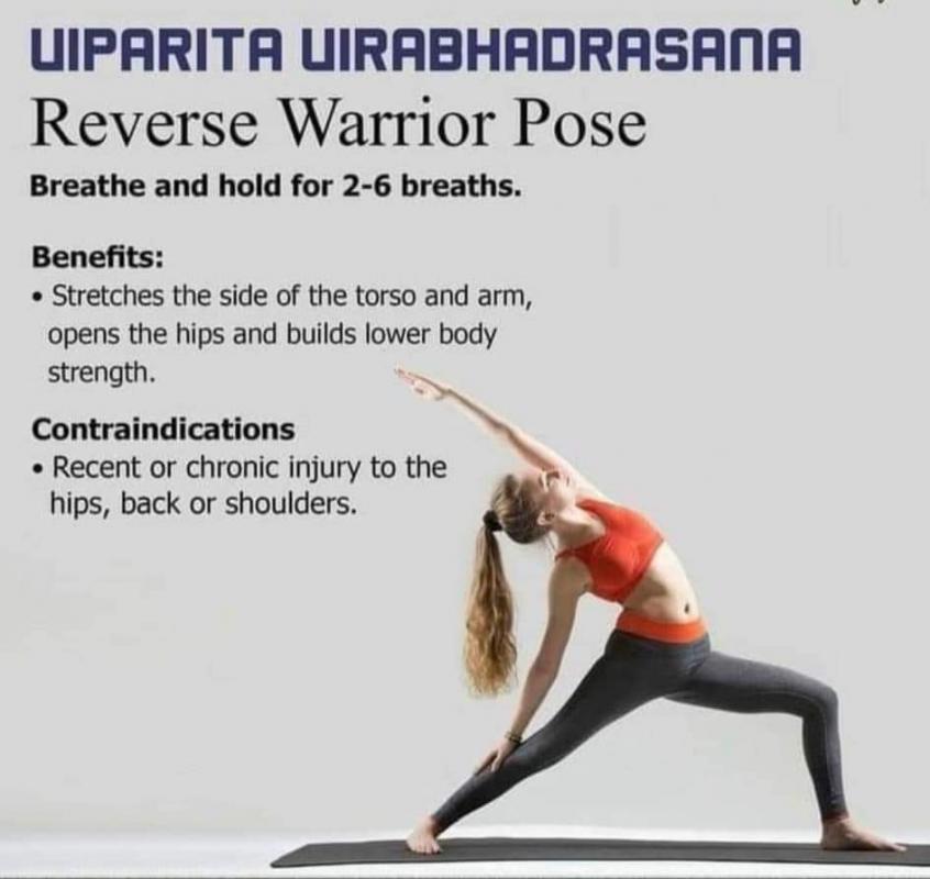 Reverse warrior pose