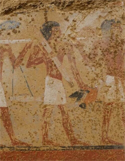Painting showing ancient egyptians' daily life found inside the mastaba.