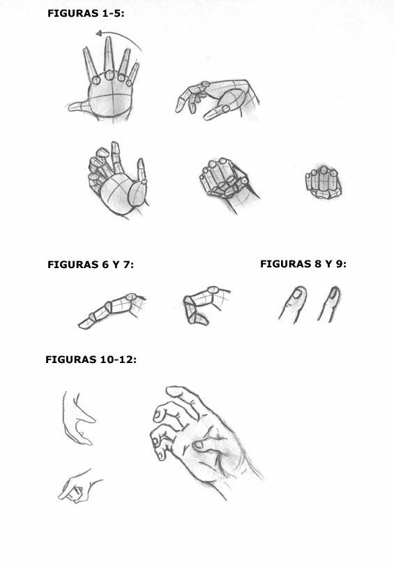 Hands: Figures 1 to 12
