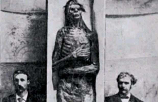 Giant mummy