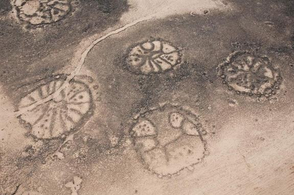 The enigmatic 'Stone Wheels': a prehistoric mystery