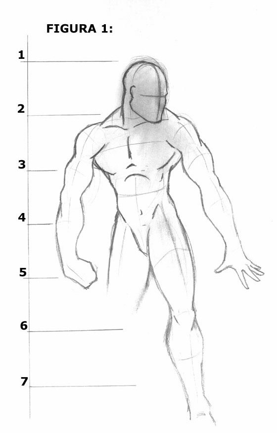 Proportions: Figure 1
