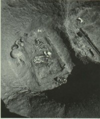 Fig 3: Tomb of an adult woman (184 b) resting on a bed and surrounded by offerings).