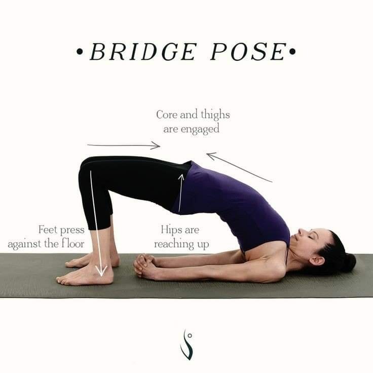 Bridge pose