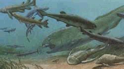 Carboniferous armored fish