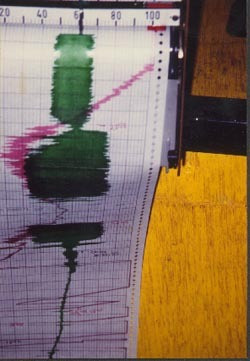 The wild magnetometer read-out that accompanied the appearance of the light. The normal, thin trace