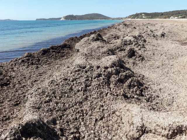 Simius Beach, near Villasimius (Sardinia), the 27/supthsup/ April 2019.