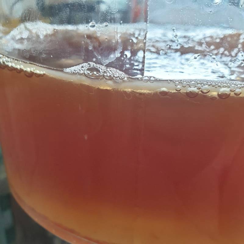 2020.06.19 h.13 my scoby's thickness of the new layer 