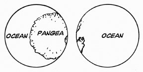 The Pangea