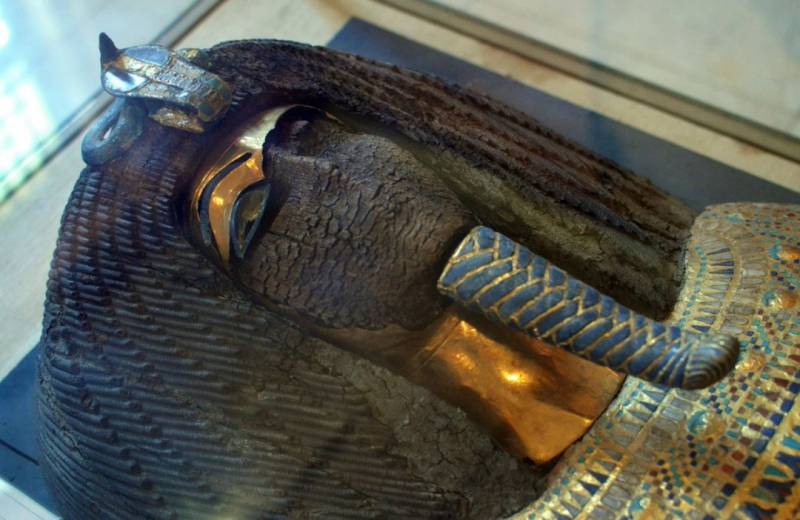 The royal coffin found in Tomb 55.